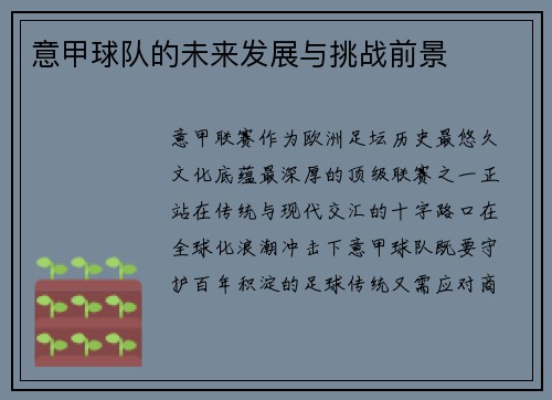 意甲球队的未来发展与挑战前景