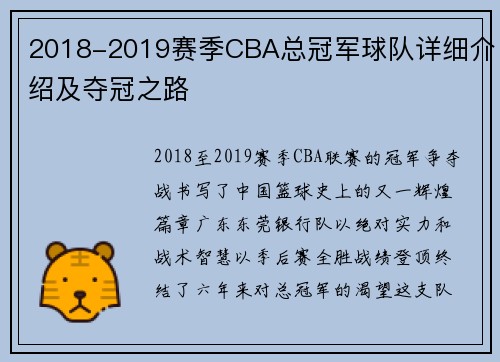 2018-2019赛季CBA总冠军球队详细介绍及夺冠之路