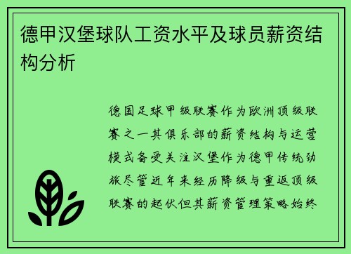德甲汉堡球队工资水平及球员薪资结构分析